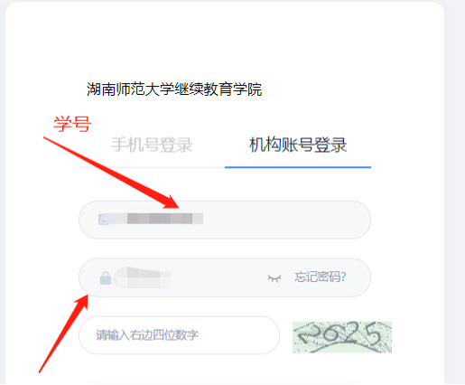 湖南师范大学高等学历继续教育本科生学学士位外语水平考试详细报名流程(图5)
